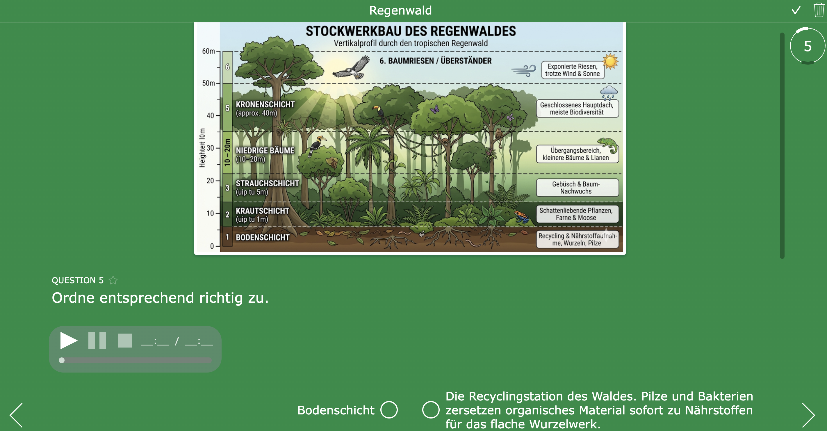 Worksheet Widget Activity for Geography